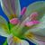 Lynda Jennings Hollingsworth's profile image