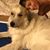 Barbara McDuffie's profile image