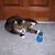Harriett G.'s profile image