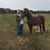 Bob Moses's profile image