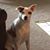 Matthew Howser's profile image