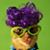 Susan Fisher's profile image