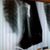 Merijoy Endrizzi-Ray's profile image