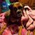 Rhonda Walters-Cramer's profile image