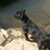 Jeremy Newhart's profile image
