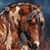 Bretta Heath Snyder's profile image