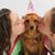 Kelly Simard's profile image