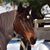Christine Sizemore's profile image