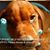Carol Franciotti's profile image