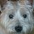 Deanna Lovell's profile image