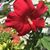 Carolyn Wendorff's profile image