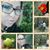 Elsita Love's profile image