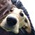 Christina Mullaney's profile image
