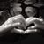 Stacey Crescitelli's profile image