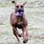 Jennifer Reed's profile image