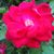 Debbie Oldham's profile image