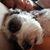 Jessica Vaughn's profile image