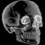 Ray S. Dodd Jr.'s profile image