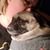 Carrie Augustine-Roff's profile image