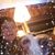 Kathy Gazzano Shaw's profile image