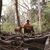 Ashley McMahan's profile image