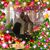 Vickie Schultz's profile image