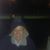 Ron Shumway's profile image