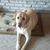 Tina Kerstetter's profile image