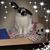 Ronni Farrow's profile image