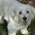 David Lawrence's profile image
