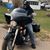 Moose Davis's profile image
