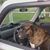 Suzanne Hayward MacCabe's profile image