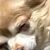 Diana Shaffer's profile image