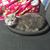 Shari Huddleston's profile image