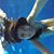 Sofia Arana's profile image