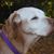 Buffy Scheaffer's profile image