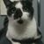 Pam Provance Wallace's profile image