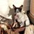 Paulette Cook Ogilvie's profile image