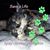 Liz Cauthorn's profile image