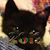 Laura Cropper's profile image