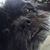 Michael Cimas's profile image