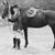 Deanie Humphrys-Dunne's profile image