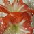 Sheila B Preece Gibson's profile image