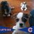 Georgina Turell's profile image