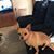Laurie Cederstrom Matson's profile image