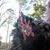 Terri Wilson's profile image