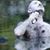 Tobaron Waxman's profile image