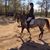Debbie Pharo's profile image
