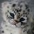 Tricia Collins's profile image