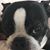 RichLynia Ryan's profile image